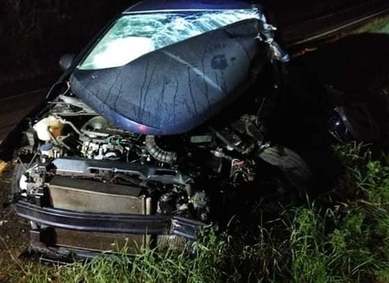 Colisão entre carro e caminhão deixa cinco feridos na ERS-480, entre São Valentim e Erval Grande