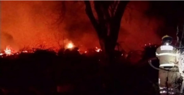 Depósito de galhos no Parque Centenário em São Luiz Gonzaga foi atingido por um incêndio de grandes proporções
