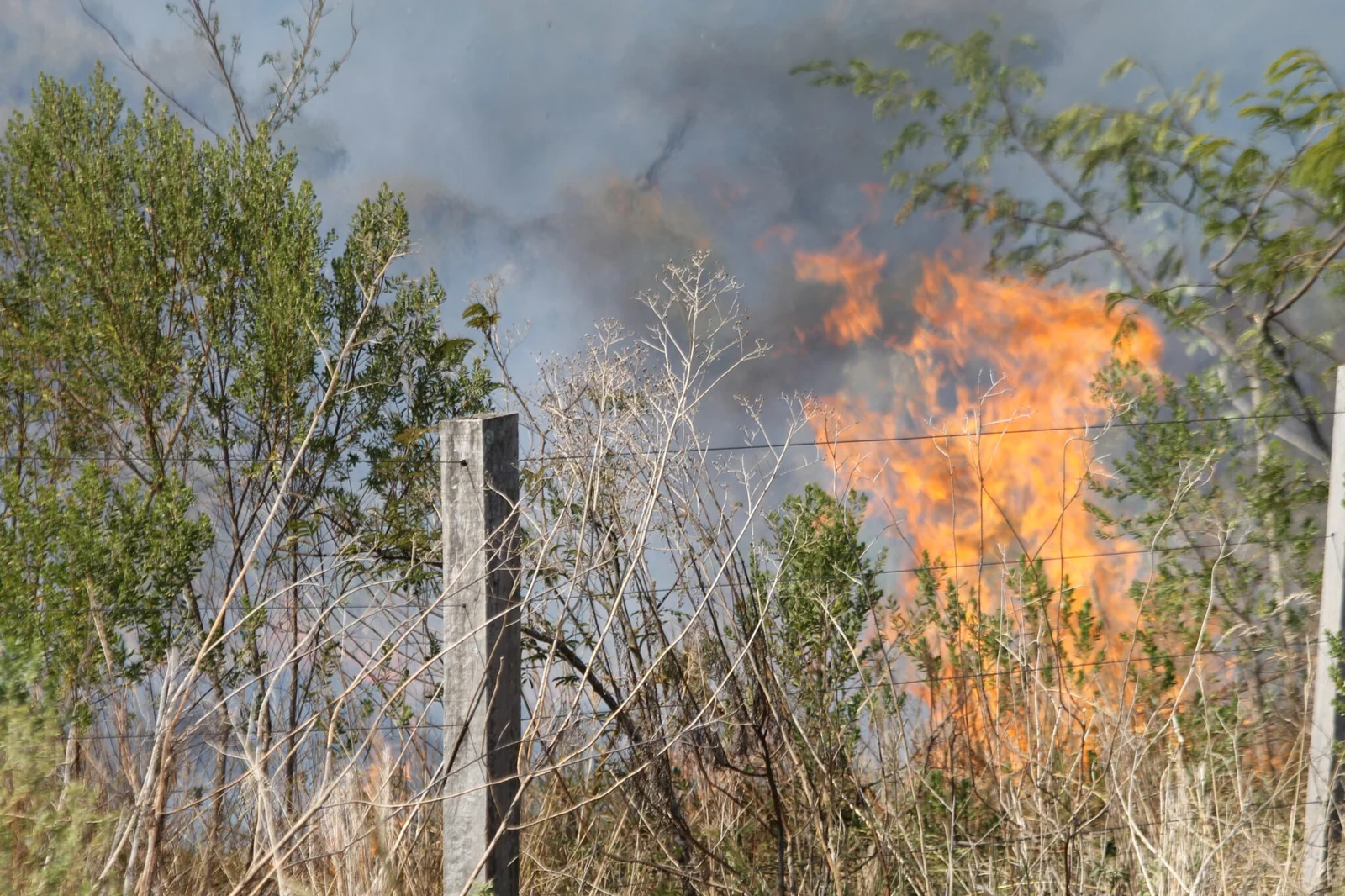 Defesa Civil de Santiago intensifica ações de prevenção contra incêndios florestais