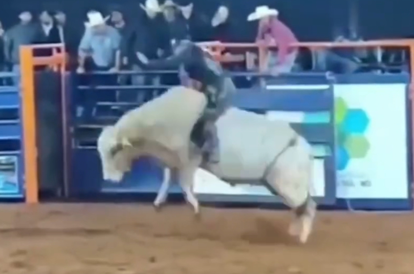 Peão morre após ser pisoteado por touro durante rodeio em Mato Grosso do Sul