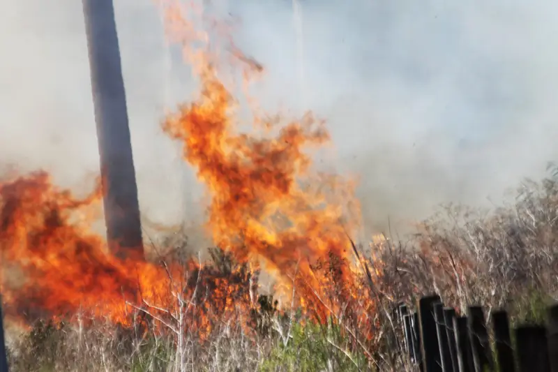 Combate aos crimes ambientais se intensifica no pelotão ambiental de Santiago