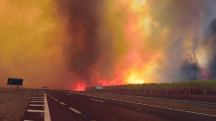 SÃO PAULO TEM DIA DE FOGO COM MORTES E QUASE DUAS MIL QUEIMADAS