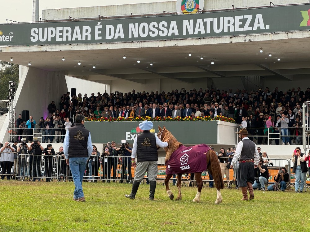 Cavalo Caramelo é aplaudido em desfile de campeões na Expointer