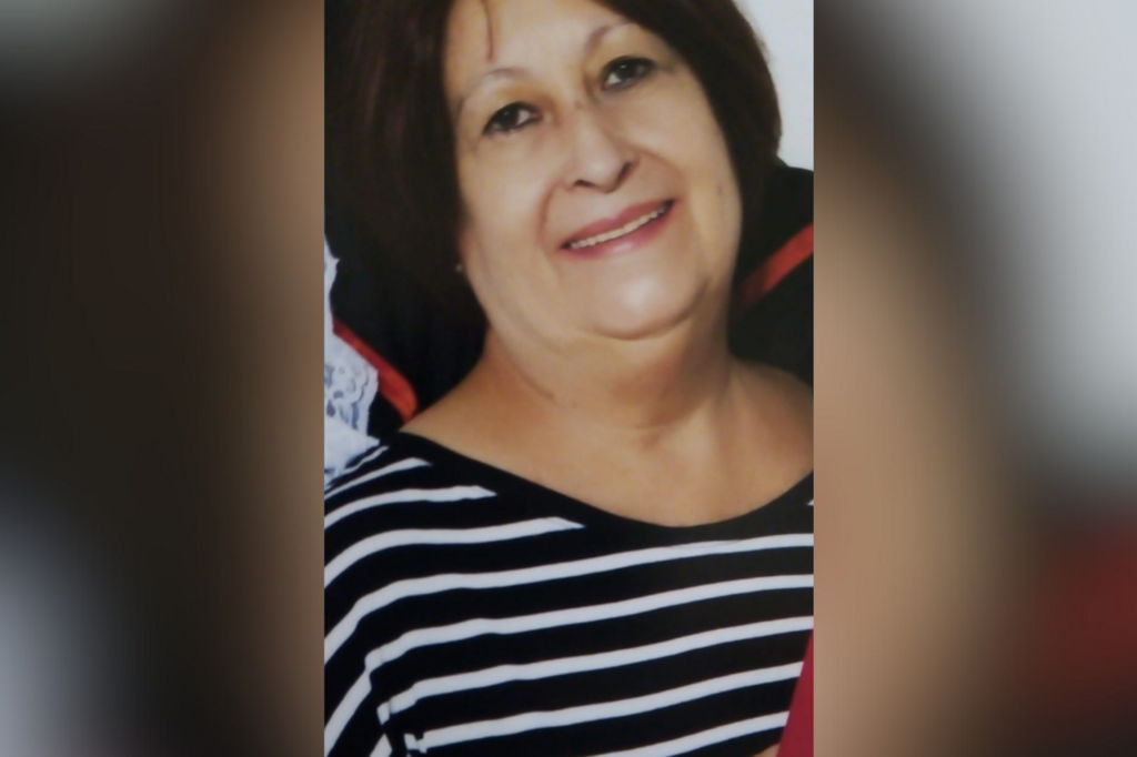 Quem era a idosa que morreu após ser atropelada na BR-392, em Santa Maria