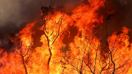 Impressionantes imagens mostram parede de fogo em Brasília