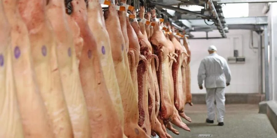 Embarque de carne suína cresce 13,6% no RS