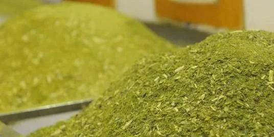 Setor ervateiro cobra regulamentação de lei que inclui produto na merenda da rede estadual