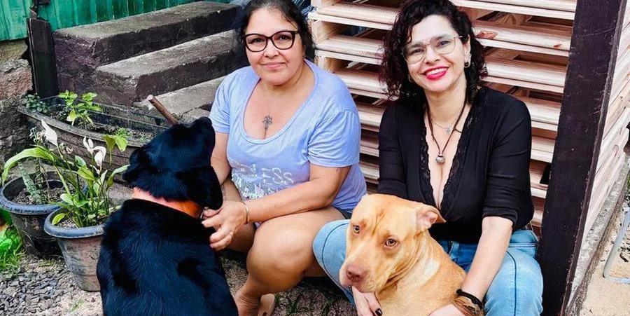Família de Canoas reencontra cachorra resgatada das enchentes depois de cinco meses