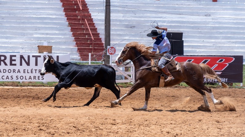 35ª Festa Campeira do CTG Coxilha de Ronda começa hoje em Santiago