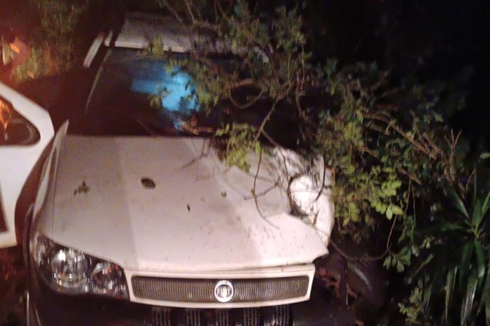 Homem morre após bater carro em árvores na Região Norte