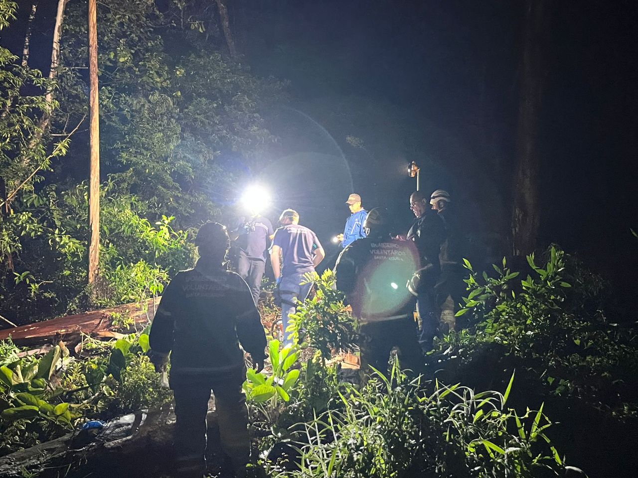 Idoso de 82 anos morre após ser atingido por árvore enquanto realizava corte