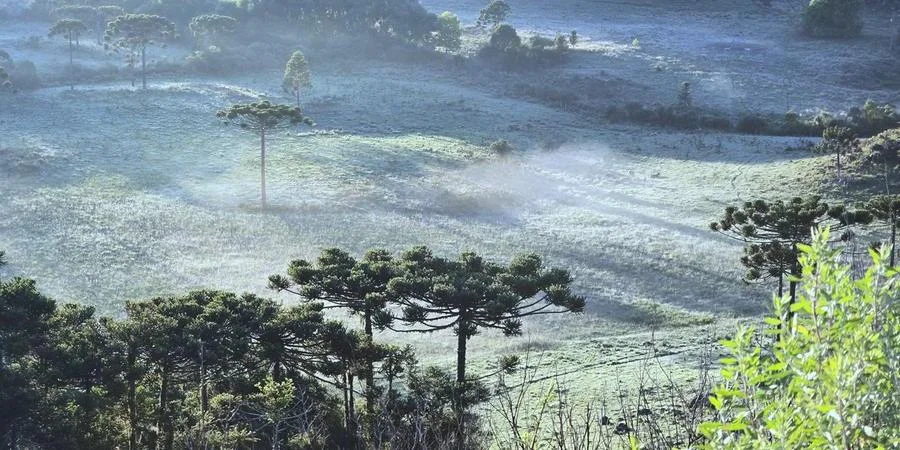 Geada no fim de dezembro surpreende e transforma paisagem de cidade de Santa Catarina