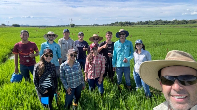 Experimentos inovadores em arroz irrigado marcam início de 2025 para estudantes de Agronomia da URI
