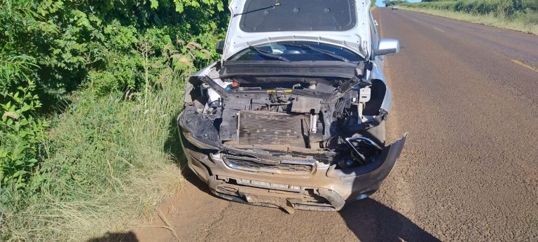 Família que retornava após festas de fim de ano sofre acidente ao bater em javali na BR-287, em São Borja