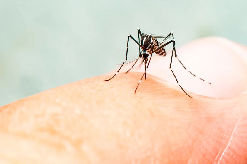 Vigilância em Saúde de Santiago conclui o 1º Ciclo de Levantamento Rápido de Índices para o aedes aegypty