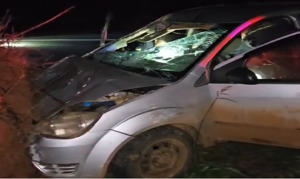 Onze cavalos soltos causam acidente com carro emplacado em Santiago e deixam motorista ferido na BR-287