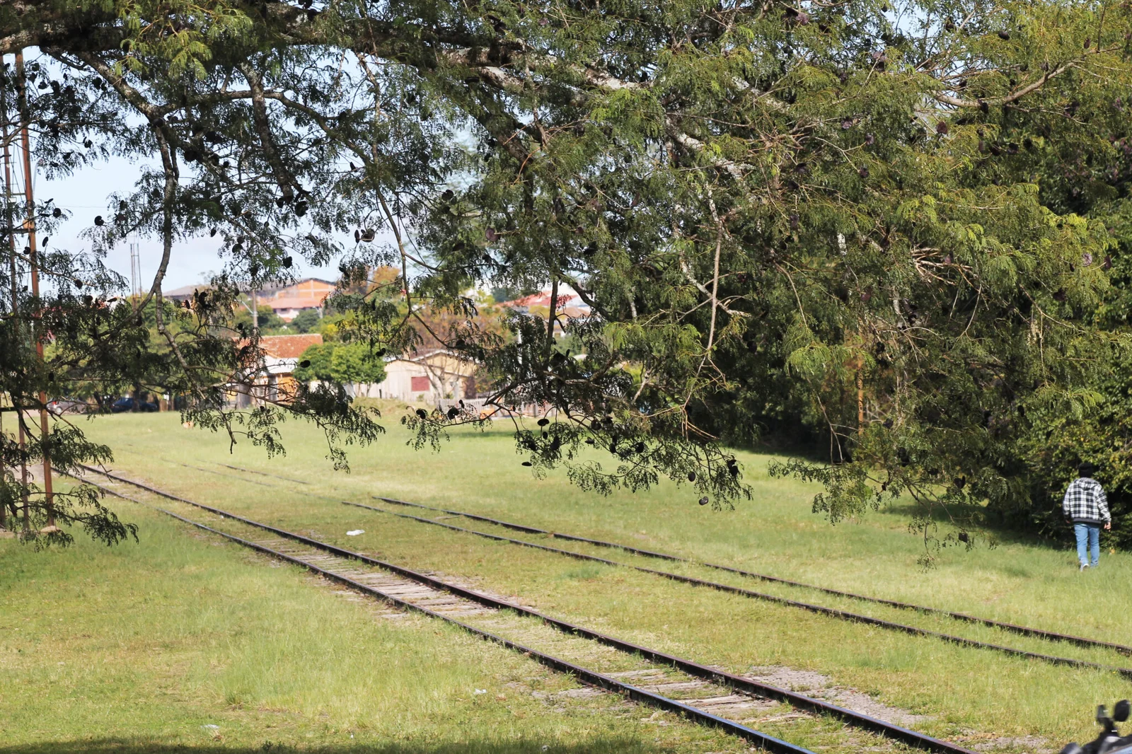 Famílias de Santiago e outras cidades terão que deixar faixa de domínio de antiga rede ferroviária
