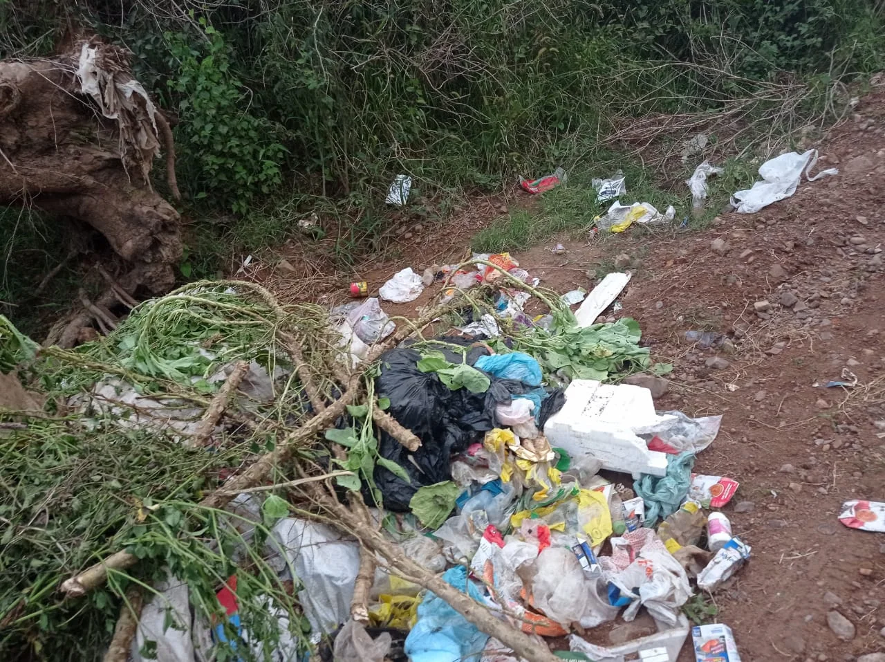 Descarte de lixo em locais impróprios continua em Santiago