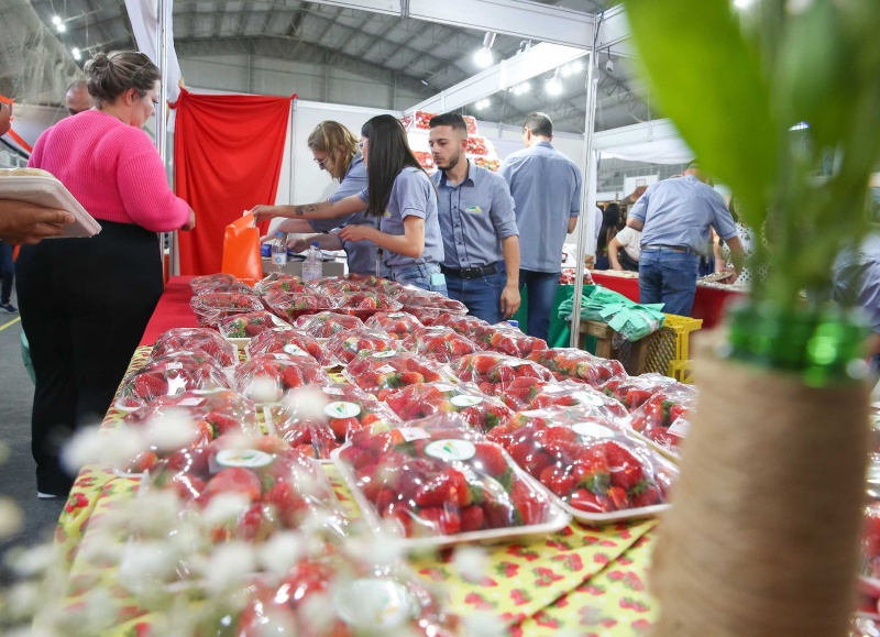 Agudo celebra sabores e tradições na 27° festa do moranguinho e da cuca