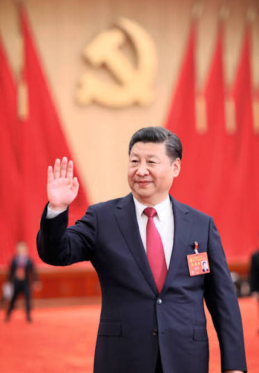 China recusa adesão a fundo florestal de Lula e impõe revés à diplomacia ambiental brasileira.