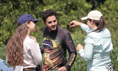 Acadêmicos de Agronomia da URI Santiago realizam aula prática de Entomologia Agrícola na Área Experimental